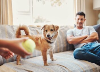 Ролята на музиката и изкуството в духовното израстване според ученията на Беинса Дуно