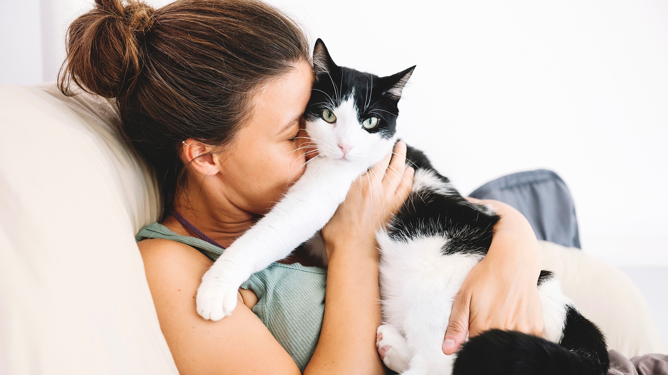 Науката открива как да говорите с котката си